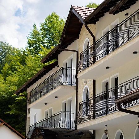 Perla Dacilor Hotel Gradistea de Munte Exterior foto