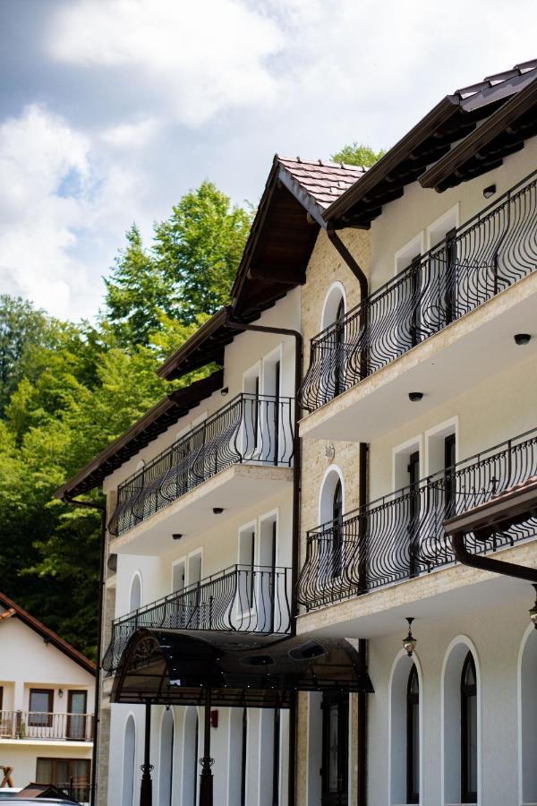 Perla Dacilor Hotel Gradistea de Munte Exterior foto