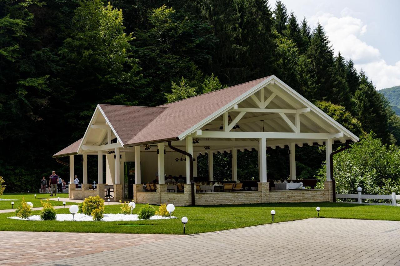 Perla Dacilor Hotel Gradistea de Munte Exterior foto